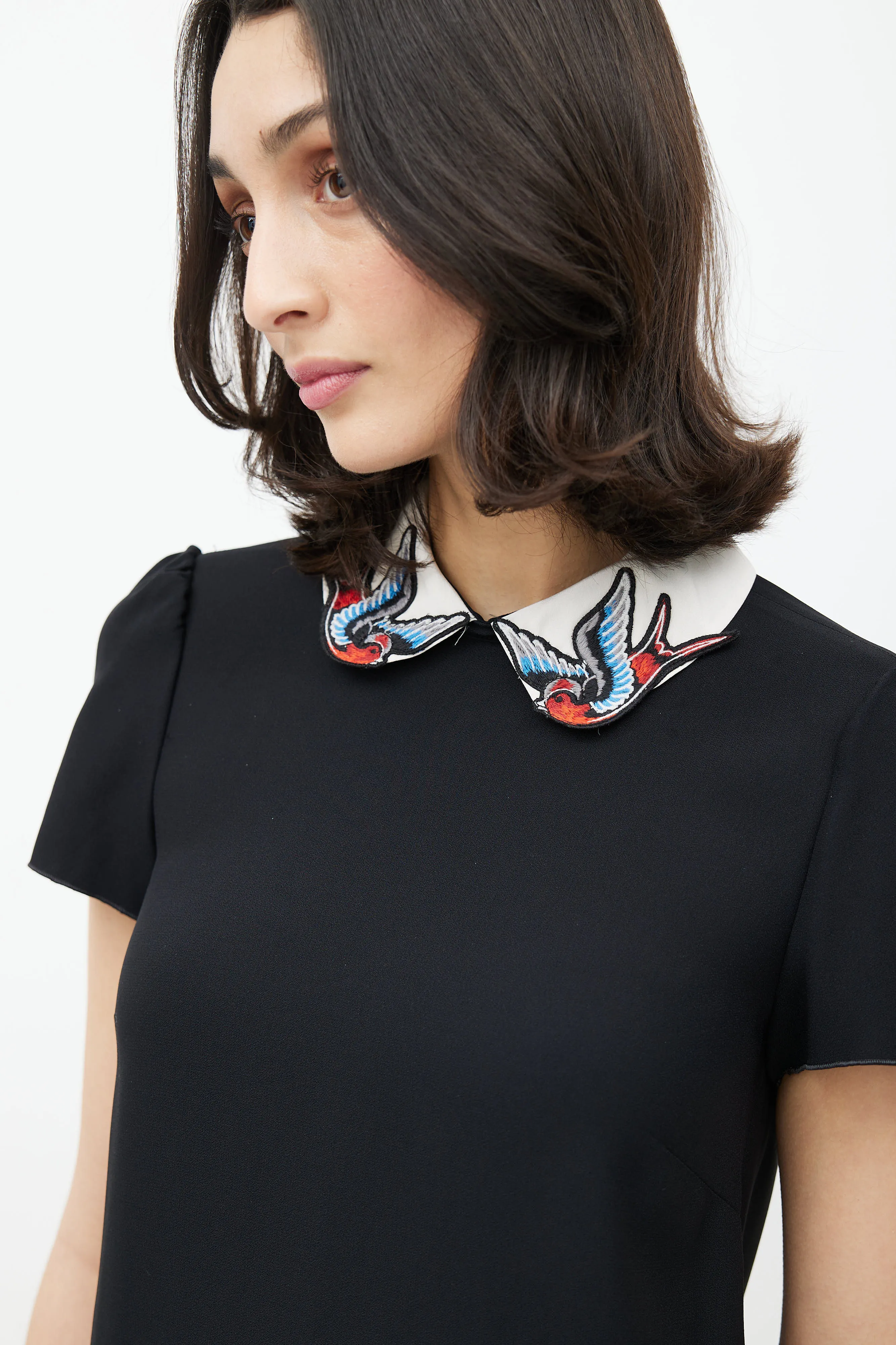 Black & Multicolour Embroidered Dress