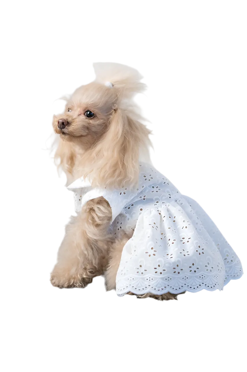 Sangallo Dress